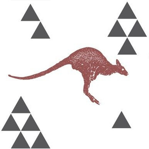 Geometric Kangaroo in Wine