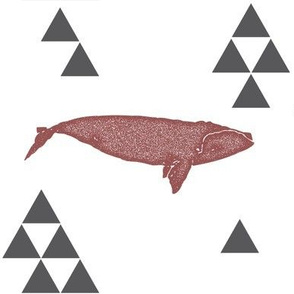 Geometric Whale in Wine