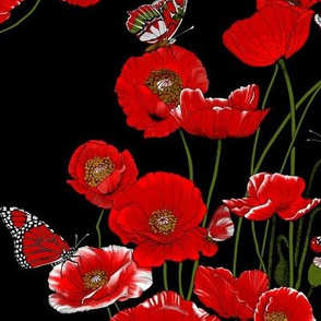 RED_Poppies_on_Black