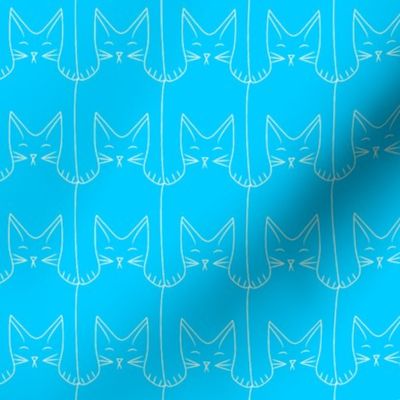 kitties (blue background)