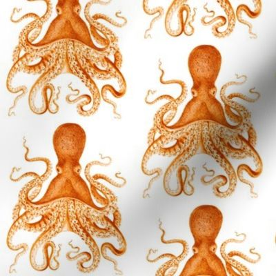 Tiny Octopus in Goldfish Orange