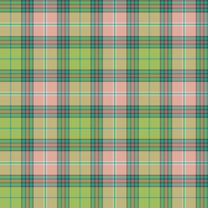 MacWhirter tartan, 6", oolong colors