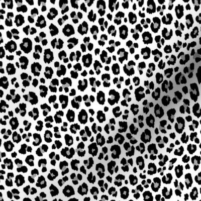 Leopard - Gray