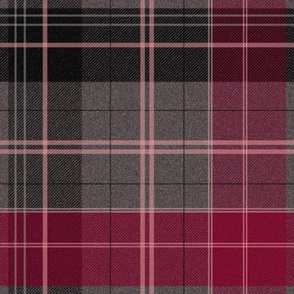 School Plaid ~ Extra Credit 