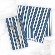 French Ticking ~ Lonely Angel Blue and White ~ Woven 