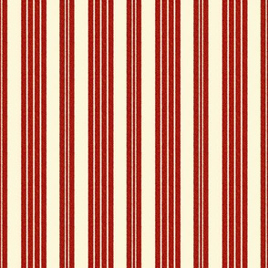 French Ticking ~ Turkey Red and Hameau ~ Woven 