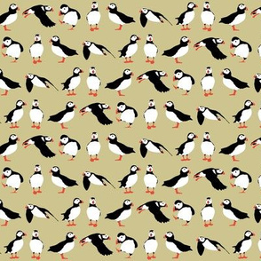 just puffins buff small