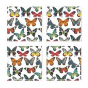 Butterfly Paintings