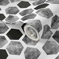 Abstract Hexagons  on white