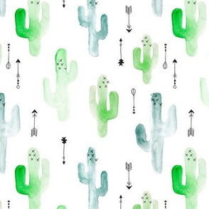 Watercolor cactus illustration indian summer theme with arrows in blue and green for boys