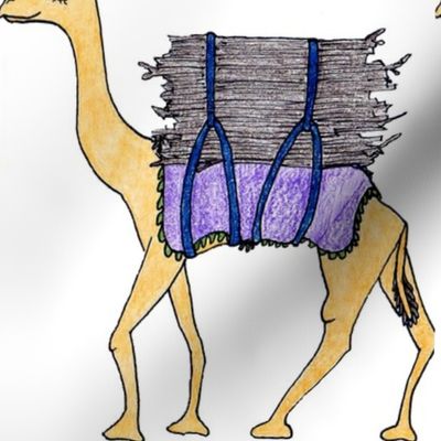 Camels of Dire Dawa