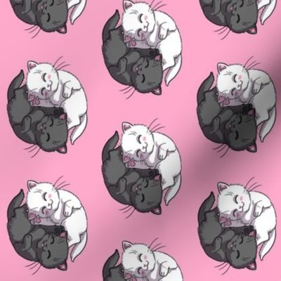 Black And White Yin Yang Kittens on Pink