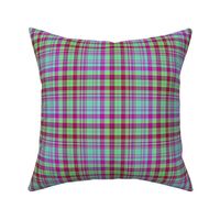 HOT GREEN AND RED FUSHIA CHERRY PLAID 1