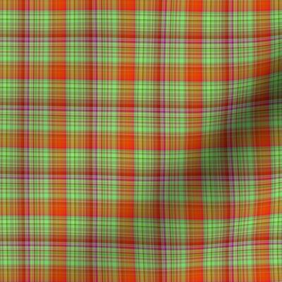 HOT GREEN AND RED FUSHIA CHERRY Plaid the orangery side