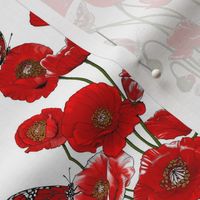 RED_Poppies on_WHITE