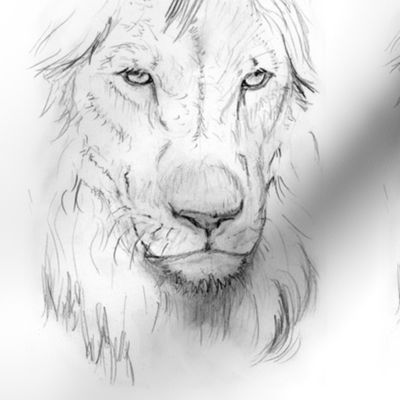 Customized lion portrait black andwhite