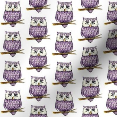 Smaller Purple Owl