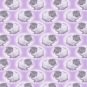 Guinea pig dots - purple
