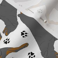 Trotting Rottweiler and paw prints - white