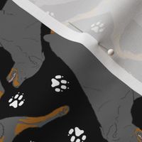 Trotting Rottweiler and paw prints - black