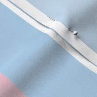 Trans Pride Sash - Inspiring - needs 2 yards to get a complete sash