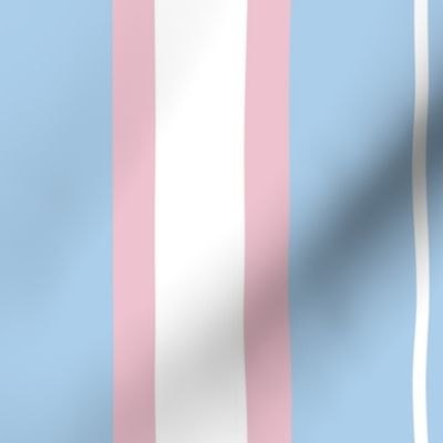Trans Pride Sash - Inspiring - needs 2 yards to get a complete sash