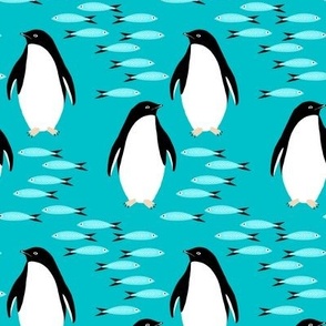 Penguins and Sardines