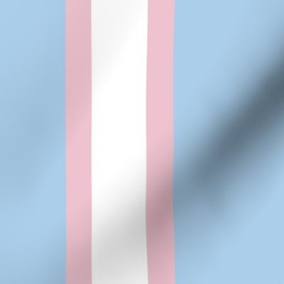 Trans Pride Sash Stripes - pink and blue