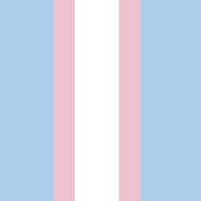 Trans Pride Sash Stripes - pink and blue