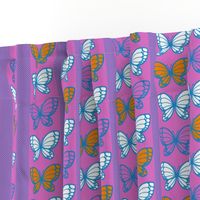 Butterflies - Flying Stripes (Pink)