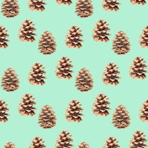 Pine Cones Mint