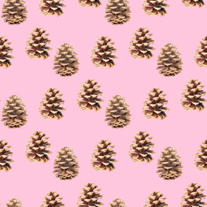 Pine Cones Pink
