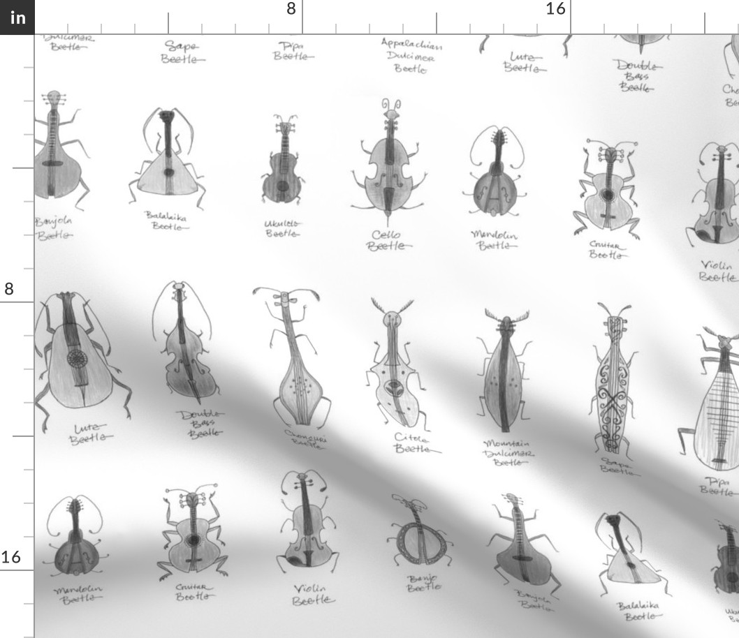 greyscale stringed beetles