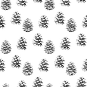 Pine Cones Monochrome - White