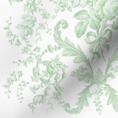 Faded Rococo Roses in basil on white