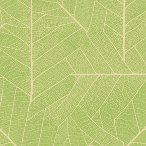 Leaf-pastel green