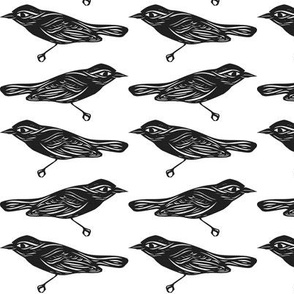 Bird Cutouts in Black and White, Pacing