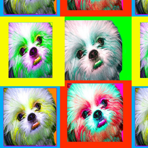 Dog Portrait - andy warhol effect