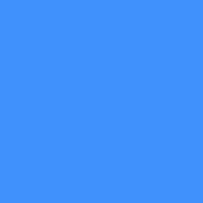 solid moonlit blue (4191FD)