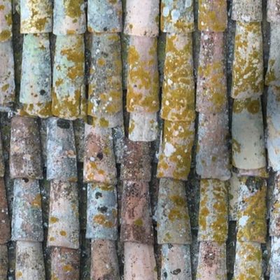 Roof Tiles of Assisi 1a