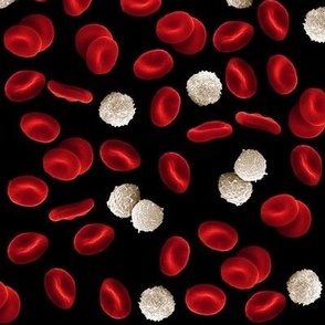 Blood Platelets large