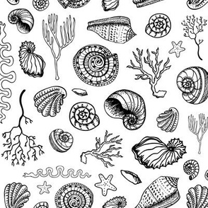 She sells Sea Shells - Black and White