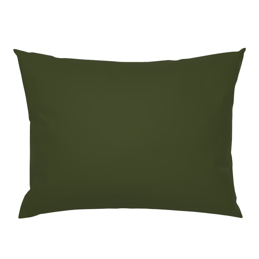 solid dark Christmascolors olive green (3E4524)