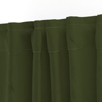 solid dark Christmascolors olive green (3E4524)