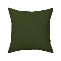 solid dark Christmascolors olive green (3E4524)