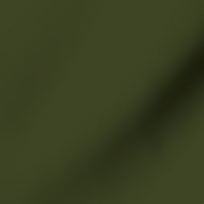 solid dark Christmascolors olive green (3E4524)