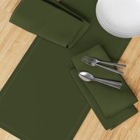 solid dark Christmascolors olive green (3E4524)