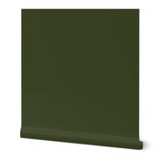 solid dark Christmascolors olive green (3E4524)