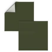 solid dark Christmascolors olive green (3E4524)