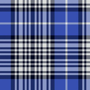 Napier tartan, 6" bright, c. 1880 from Clans Originaux